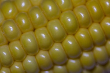 Closeup Mısır kulak