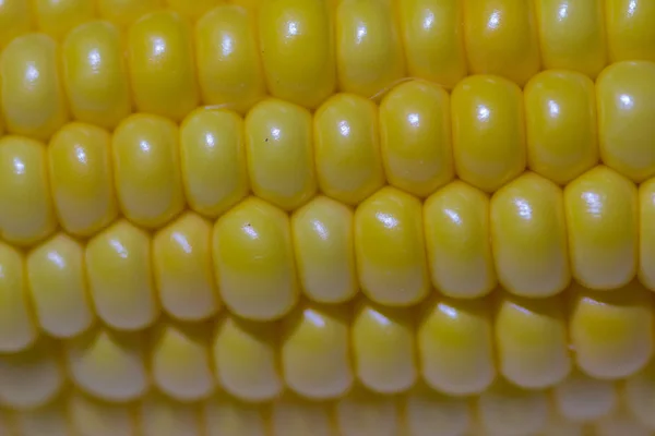 Closeup Ear Corn — Stock Photo, Image