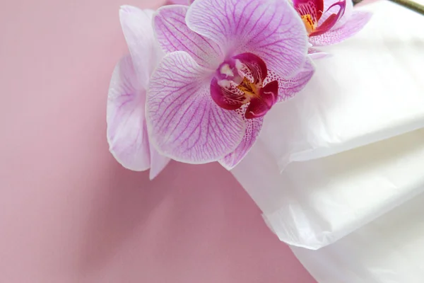 Konzept der Frauengesundheit. Menstruation. Frau Dichtungen auf dem rosa Hintergrund. Flach lag er. Ansicht von oben. — Stockfoto