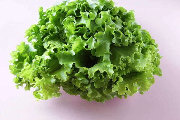 Fresh green lettuce salad on pink background. Ripe green crisp-head lettuce. Top view. Selective focus.