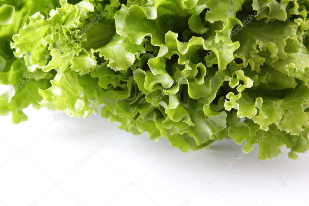 Fresh green lettuce salad on white background. Ripe green crisp-head lettuce. Top view. Selective focus. Copyspace.