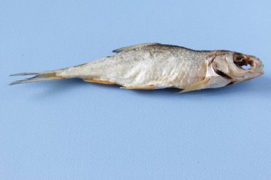 Mavi arka planda kurutulmuş balık. Açık mavi arka planda tuzlu, kuru nehir balığı. Üst Manzara. Boşluğu kopyala.