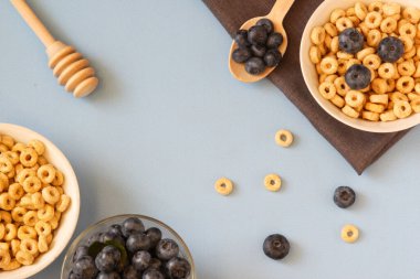 Mavi arka plandaki beyaz kasede yaban mersini ve bal halkaları. Uzayı kopyala Üst Manzara. Düz yatıyordu. Yatay yönelim.