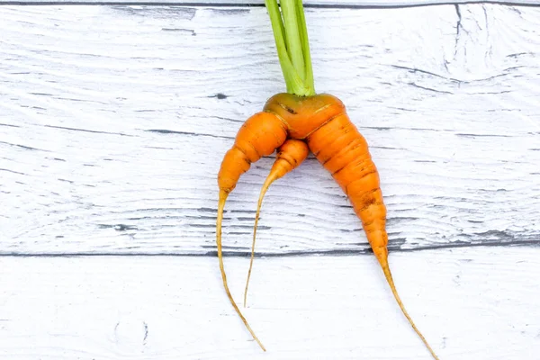 Cenoura vegetal orgânica feia na moda no fundo de madeira. — Fotografia de Stock