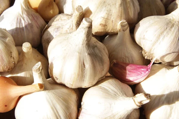 Garlic close up, Garlic bulb, Garlic cloves in wooden bowl. Top view. Horizontal orientation.