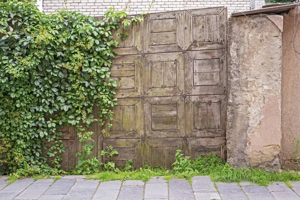 Weathered wooden plank gates covered in creeper. — Stock Photo, Image