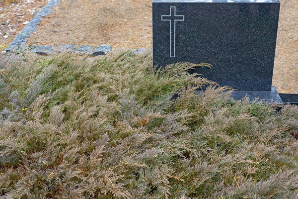 Schwarzer Grabstein mit gemaltem Kreuz in der Ecke, umgeben von Thuja-Blättern — Stockfoto