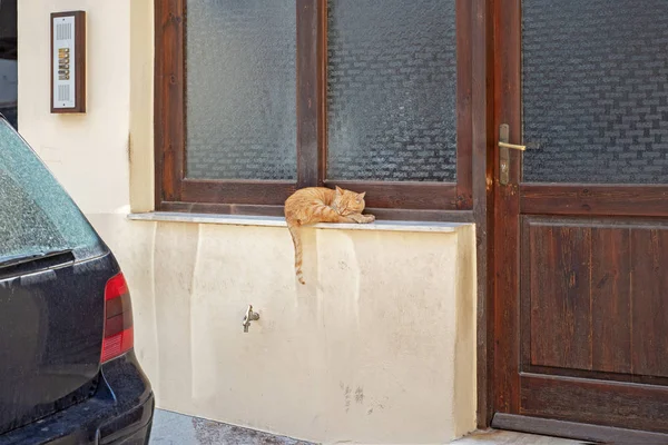 Laranja Gato Tabby Que Coloca Peitoril Janela — Fotografia de Stock