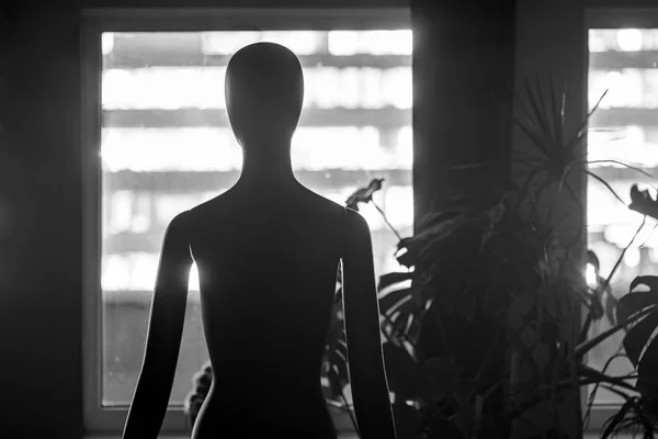 Человеческий женский манекен, стоящий в темноте возле окна . Лицензионные Стоковые Изображения