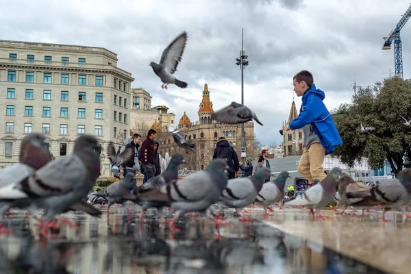 Barcelona Spanje Maart Kind Spelen Met Duiven Plaza Catalunya Barcelona — Stockfoto