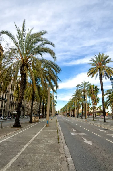 西班牙巴塞罗那棕榈树衬里大道 — 图库照片