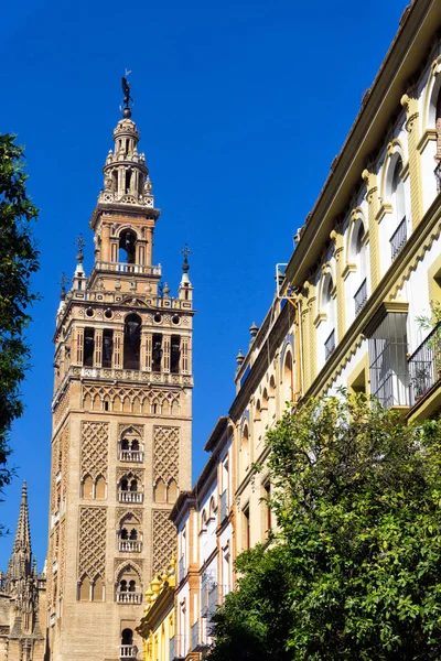 Udsigt Sevilla Katedral Tårn Med Historiske Bygninger Spanien - Stock-foto