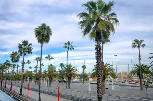 View Avenue Waterfront Barcelona Spain — Stock Photo, Image