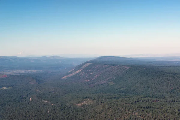 Густо Лісистих Пейзаж Центральній Орегон Видно Чорного Butte — стокове фото