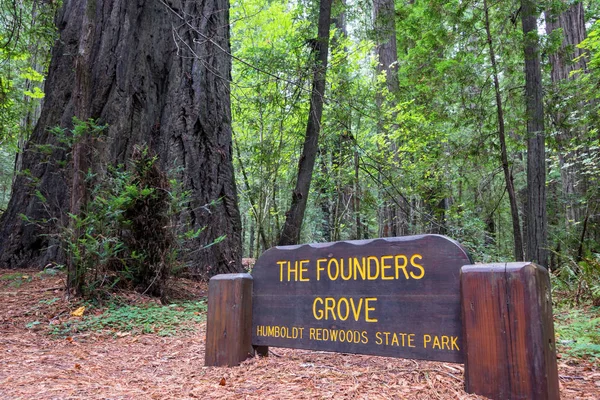 Sign Founders Grove Humboldt Redwoods State Park California — Stock Photo, Image