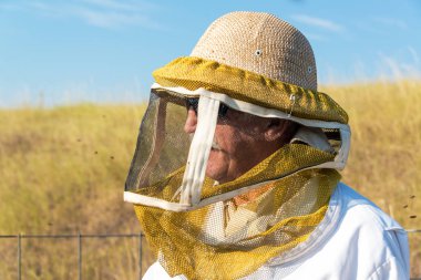 Closeup view of a beekeeper near Buffalo, Wyoming clipart