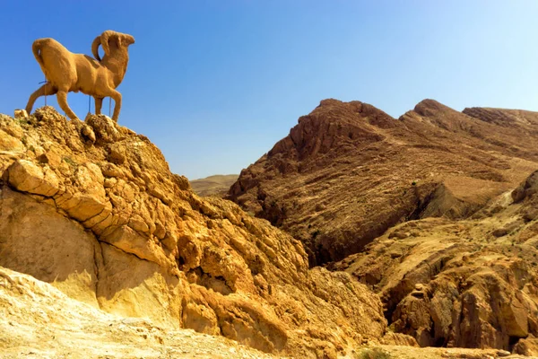 Ραμ Γλυπτική Ένα Λόφο Στην Έρημο Στην Chebika Τυνησία — Φωτογραφία Αρχείου