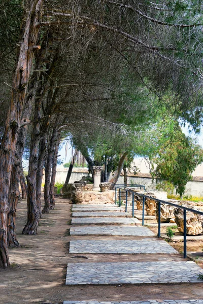 Vue Jardin Passage Dans Les Ruines Carthage Tunisie — Photo