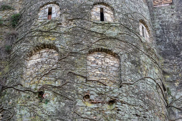 印象的な中世の壁 — ストック写真