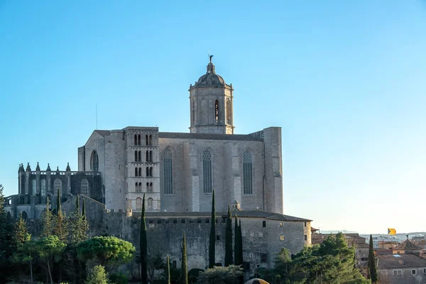 ジローナ大聖堂ビュー — ストック写真