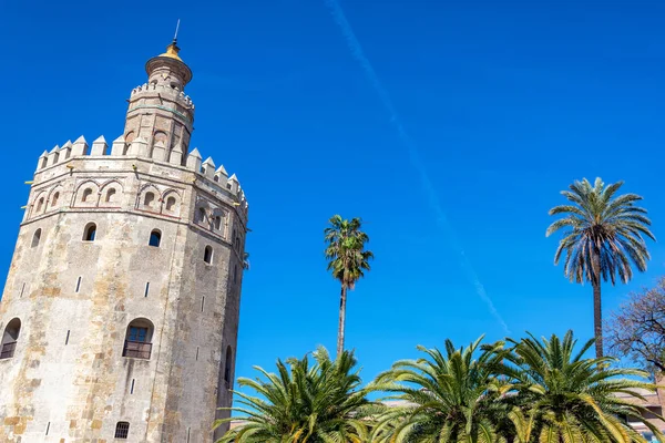 Toren van goud en palmbomen — Stockfoto