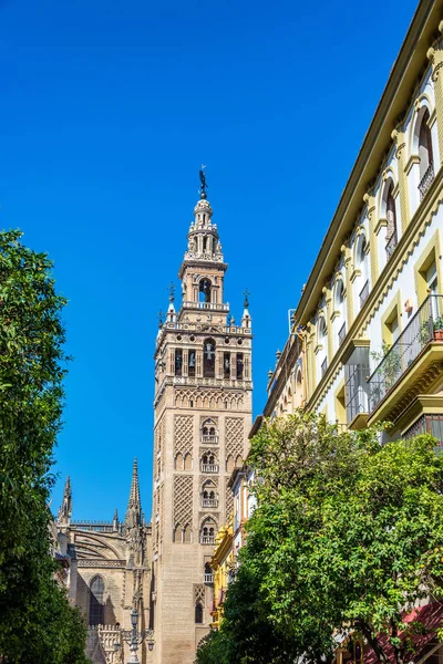 Seville Cathedral Vertical View — Stock Photo, Image