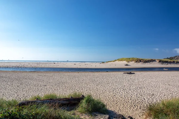 Zand en zee bij Cannon Beach, Oregon — Stockfoto