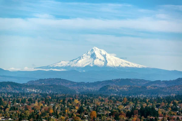 Mt. Hood and Forested Hills — Stock Photo, Image