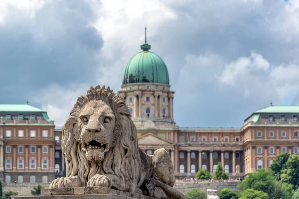 Лев і Національна галерея в Будапешті — стокове фото