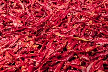 Kurutulmuş kırmızı biber veya kırmızı biber biber, arka plan