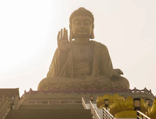 The most large sitting Buddha statue in the word on a lotus flower — Stock Photo, Image