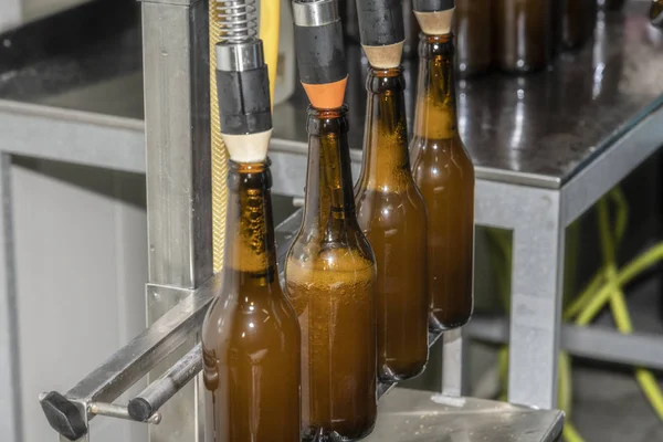 beer filling in a brewery artesanal