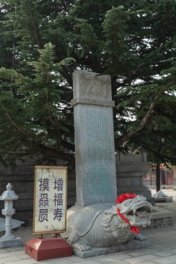 çeşitli semboller ve Budizm uygulama nesneleri