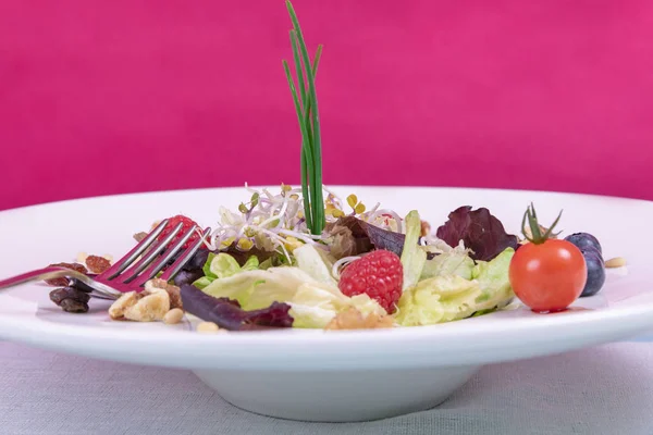 Mezcla de ensalada de judías germinadas aisladas sobre un plato blanco y fondo rosa —  Fotos de Stock