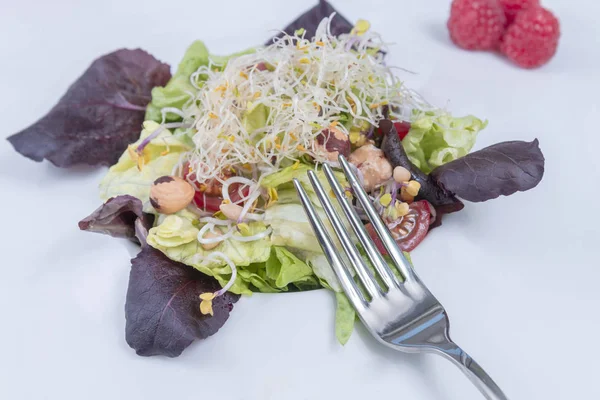 bean sprouts salad with Chickpea and fresh lettuce. Top view