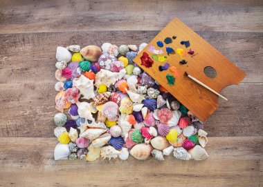 Boyalı deniz kabukları. Farklı renklerde boyalı kabuk koleksiyonu. Boya fırçası ile renk paleti