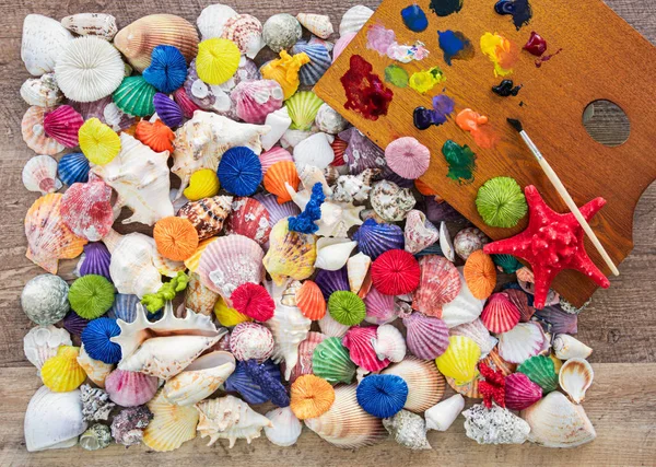 Színes tengeri kagyló és egy színes raklap — Stock Fotó