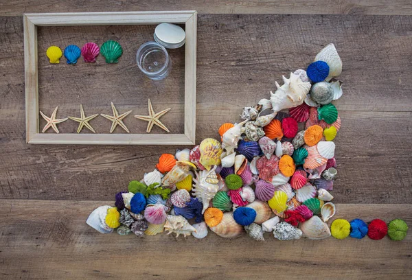 Sea shells in groups with a frame and star fish — Stock Photo, Image