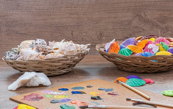 Beautiful composition of painted sea shells and wood background . Abstraction, sea theme, nature, travel, science, beauty.