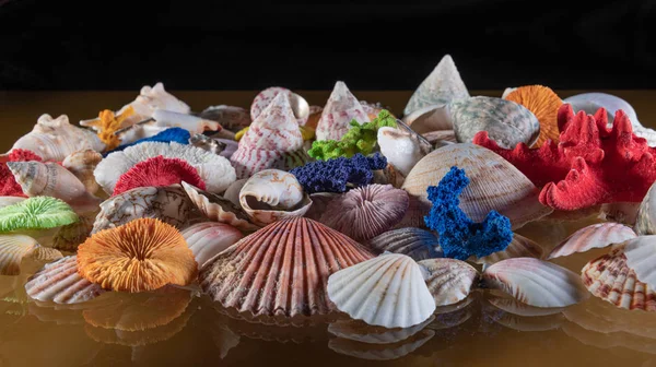 Üvegen és fényvisszaverődésen fekvő tengeri kagyló. szelektív fókusz, tapéta — Stock Fotó