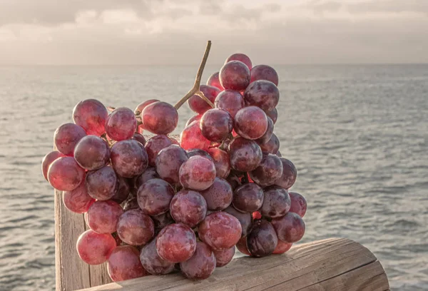 Muitas uvas vermelhas escuras doces em um cluster em uma doca de madeira, iluminadas pelo sol e pelo fundo do mar — Fotografia de Stock