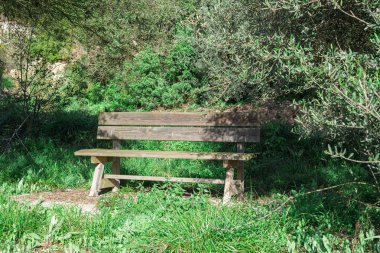 Yemyeşil bitki örtüsüne sahip bir parkta rustik ahşap bankın genel görünümü