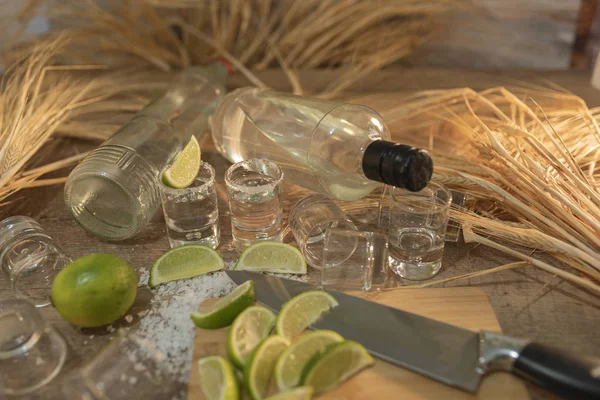 Dos botellas de tequila de lujo, chupito y un montón de rodajas de limón con espigas de trigo — Foto de Stock