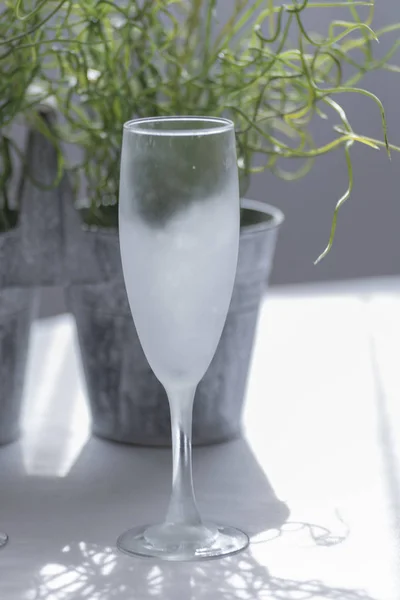 Primer plano de una copa de champán fría y vacía con una planta verde en el fondo sobre una mesa blanca . — Foto de Stock