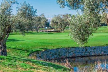Bir göl ve ağaçlar çok yeşil ve güzel golf sahası. S