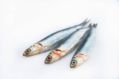 Beyaz arka planda üç taze sardalya. Deniz ürünleri kavramı.