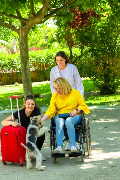 車椅子を使用している女性とスーツケースのペットを持つ別の女性フォーカス外の背景に公園で陽気な犬 障害と楽しいコンセプト — ストック写真