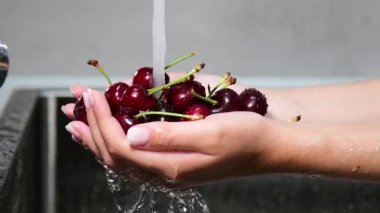 Kadın ellerinin, mutfak lavabosunun üzerindeki su damlasının altında ağır çekimde taze kirazları tutmasını. Sağlıklı gıda ve hijyen kavramı.