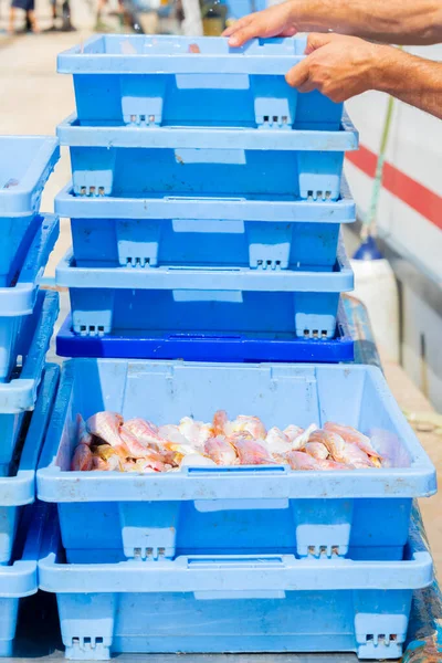 Manos Masculinas Apilando Montón Cajas Del Mercado Pescado Con Pescado — Foto de Stock