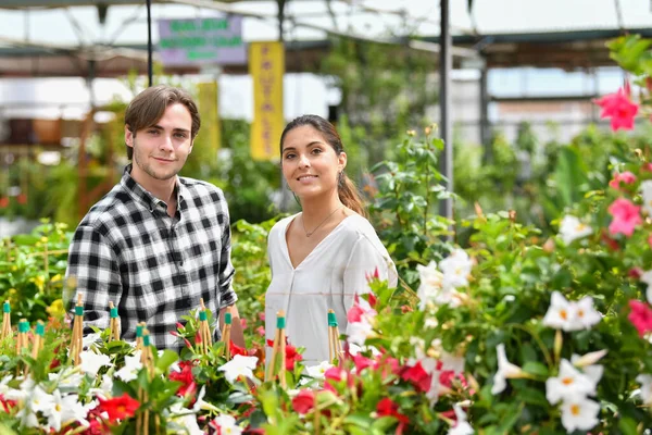 Mutlu Genç Çift Bir Bahçe Merkezinde Güzel Bitkilerle Çevrili Kameraya — Stok fotoğraf